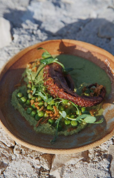 restaurant île degaby tentacule de poulpe avec humus de petit pois